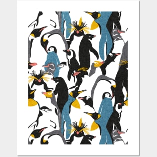 We love penguins // black white grey dark teal yellow and coral type species of penguins (King, African, Emperor, Gentoo, Galápagos, Macaroni, Adèlie, Rockhopper, Yellow-eyed, Chinstrap) Posters and Art